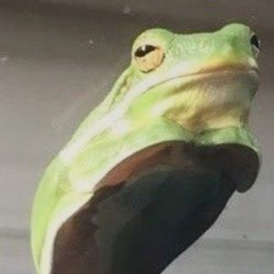 Meet your Posher, Kaitlyn